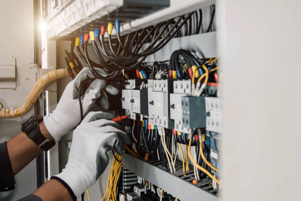 Best Electric Panel Repair  in La Nte, MO